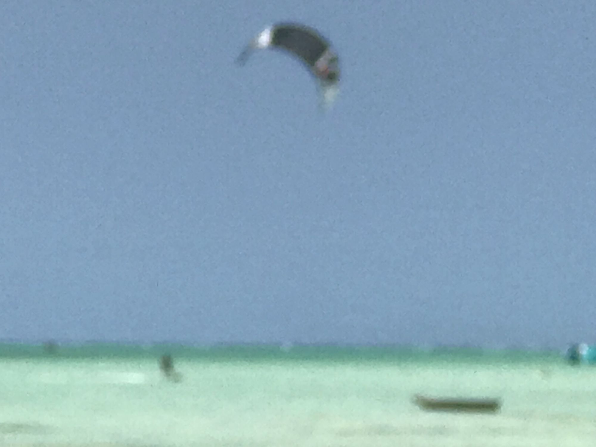 Zanzibar Dream 3*