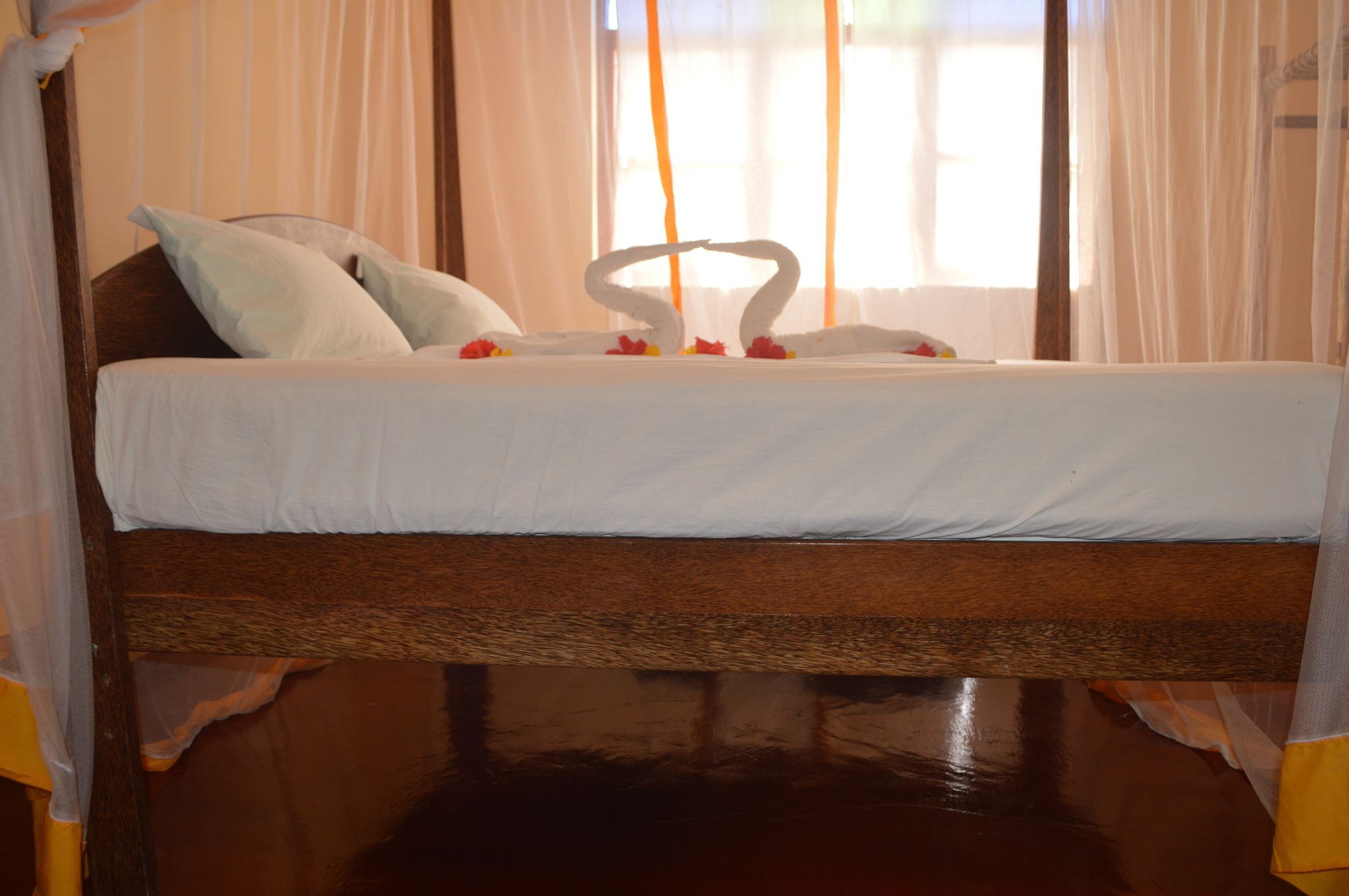 Zanzibar Dream 3*