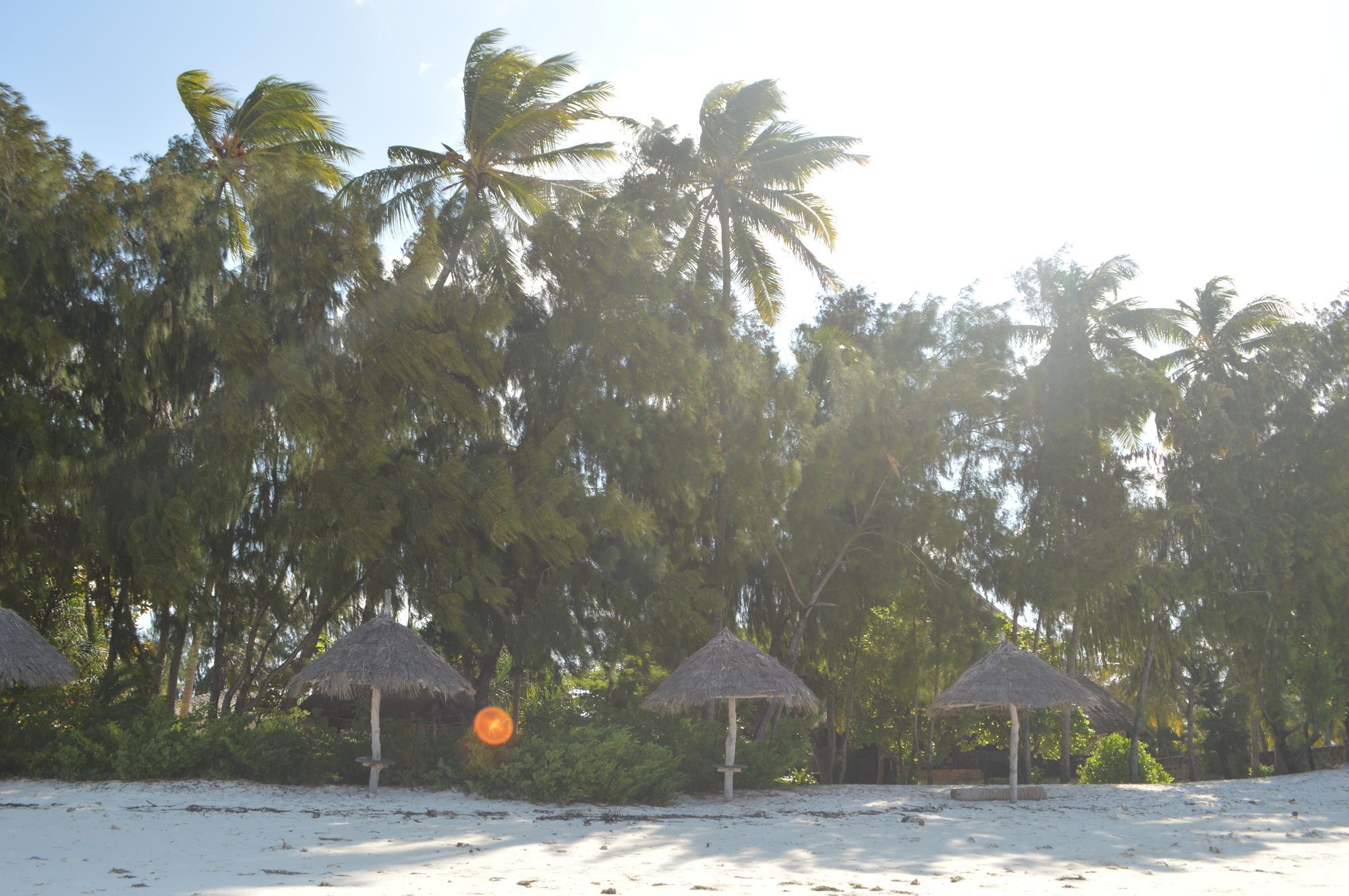 Zanzibar Dream Bwejuu